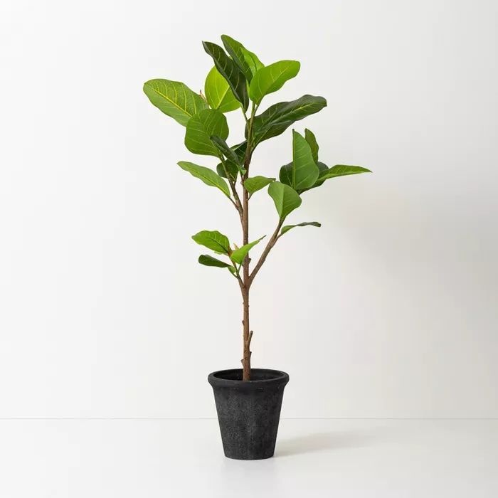 Faux Audrey Ficus Tree - Hearth & Hand™ with Magnolia | Target
