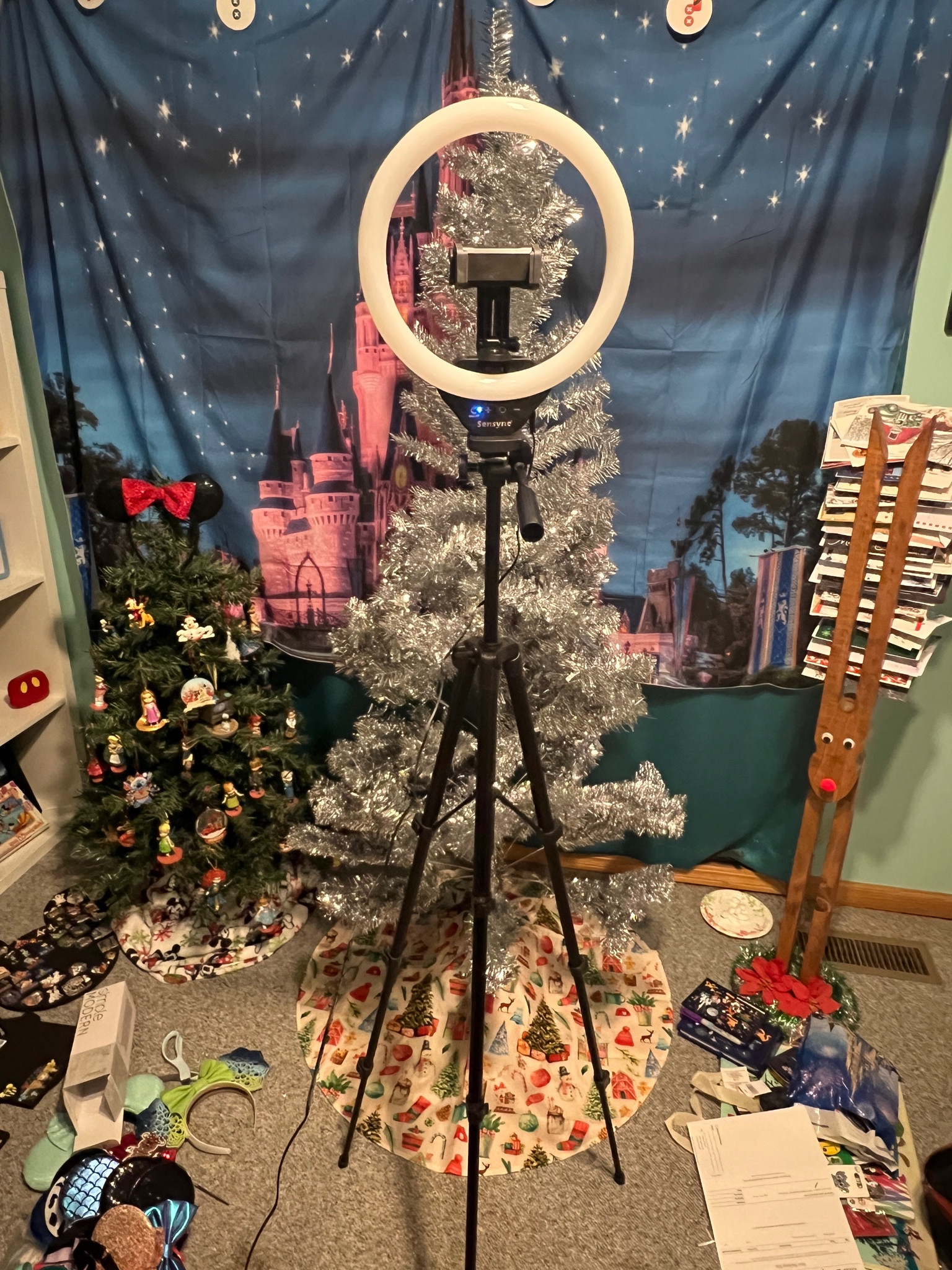 Ring light 

#LTKFind #LTKsalealert