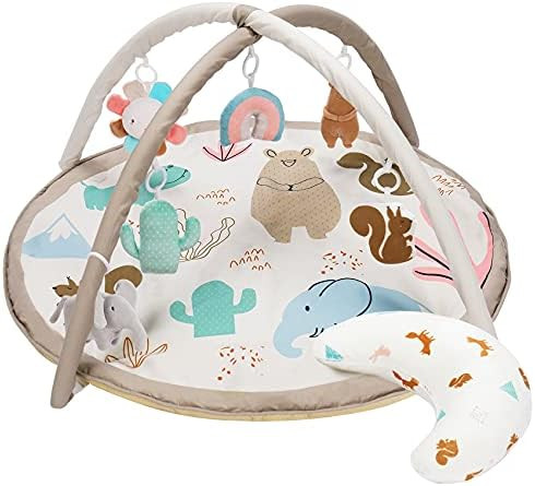 Washable Baby Gym Activity Center with Animal Play Mat, Visual, Hearing, Touch, Cognitive Early D... | Amazon (US)