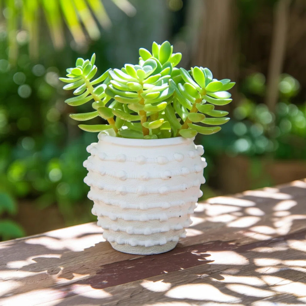 Stoneware Ceramic Planter with Raised Textured Surface and Rounded Edge Design - Contemporary Dec... | Wayfair North America