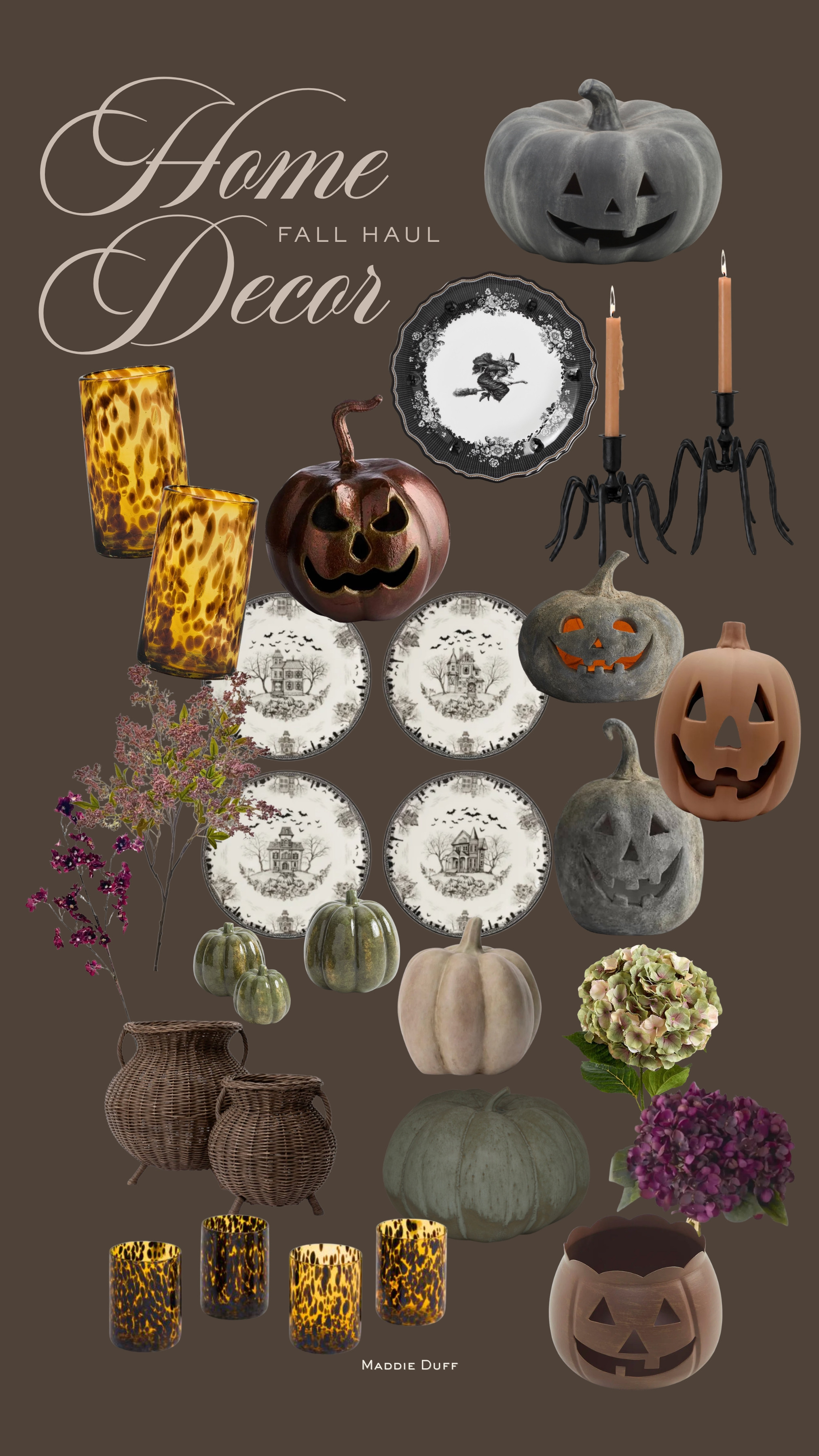Fall haul with all the cutie pumpkins and decor!

home decor for fall, halloween home decor, fall home decor 

 #LTKSeasonal #LTKHome