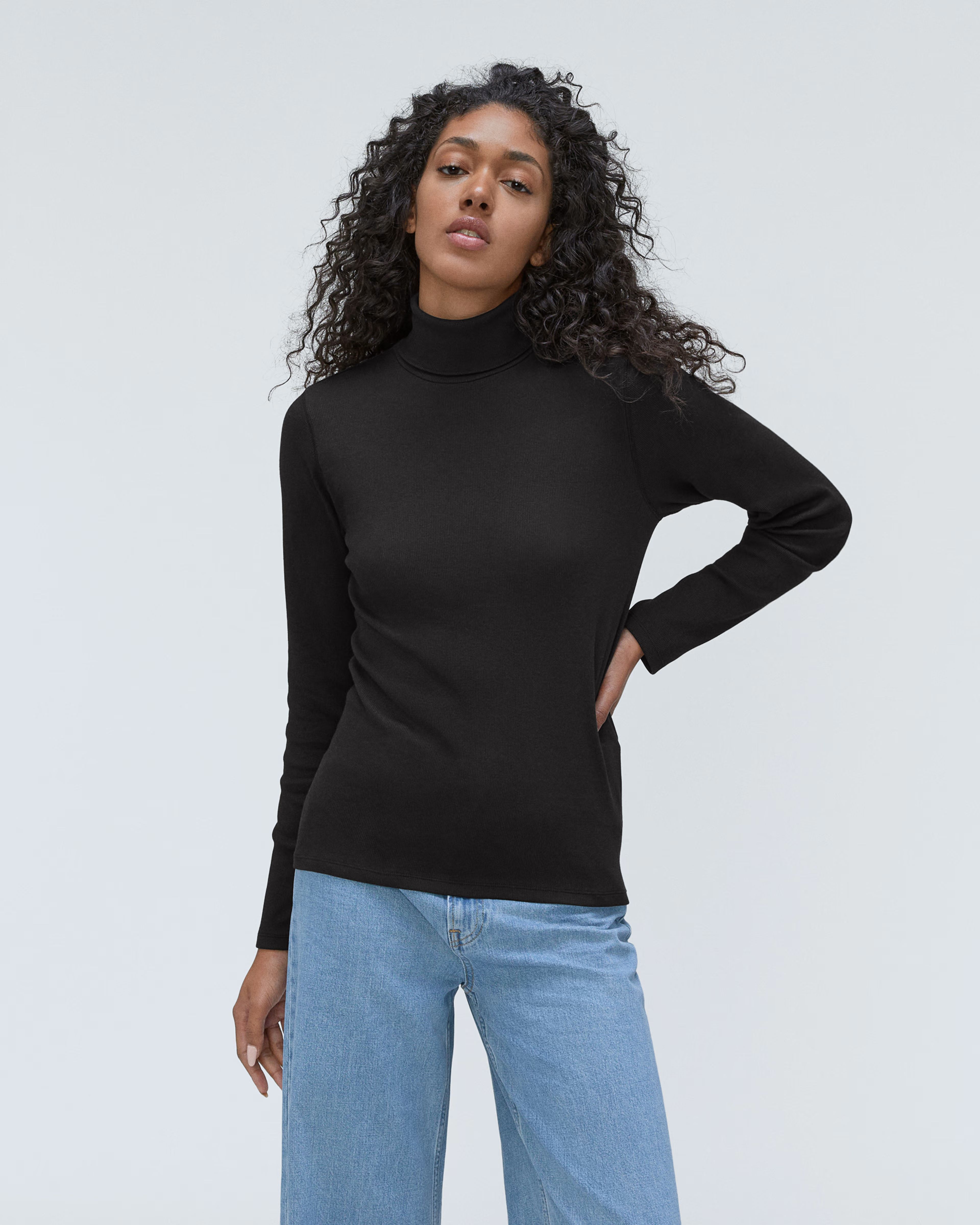 The Luxe Micro-Rib Turtleneck | Everlane