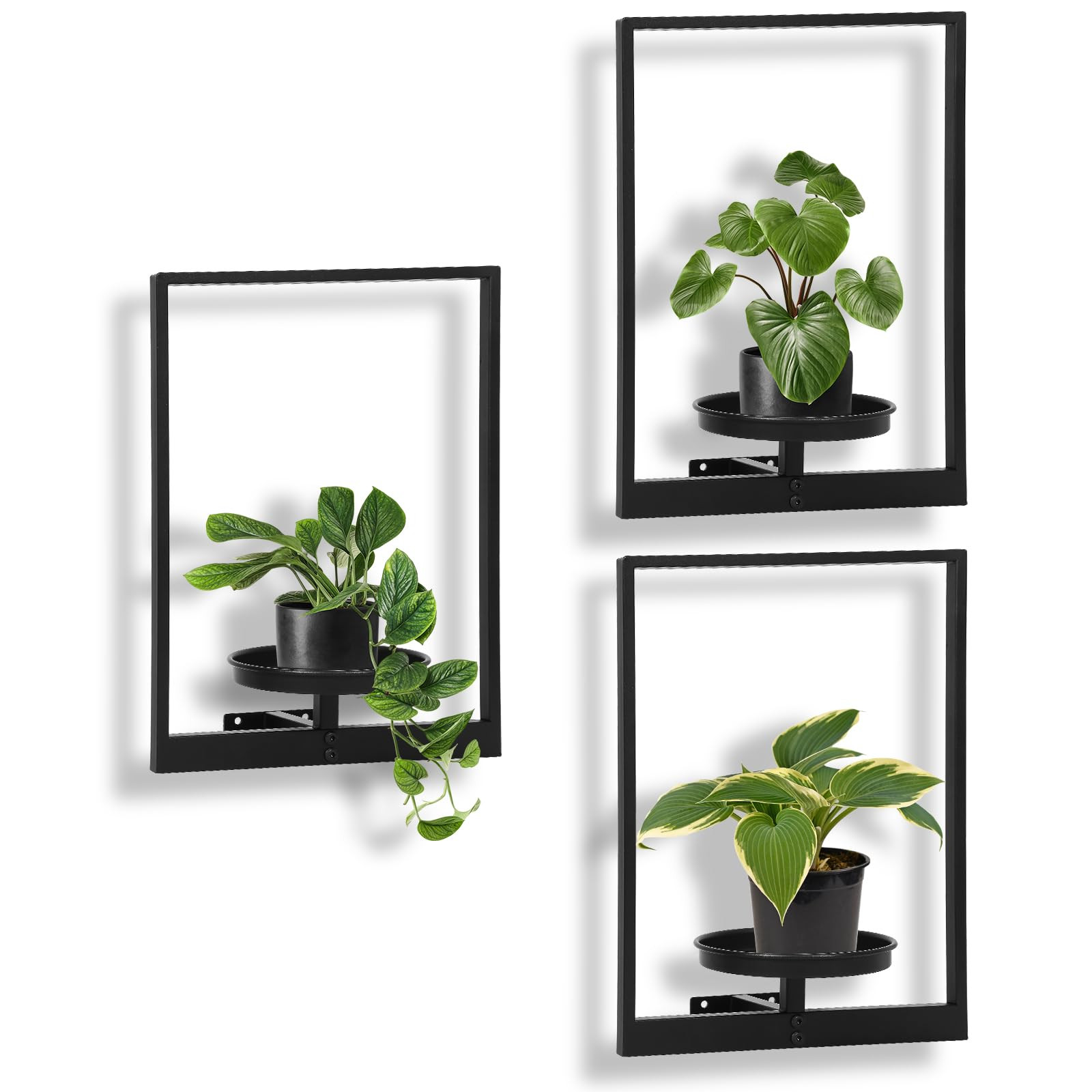 Plant Stand Plant Picture Frame, Hanging Planter Wall Rack with Metal Holder for Fake Plants Gree... | Amazon (US)