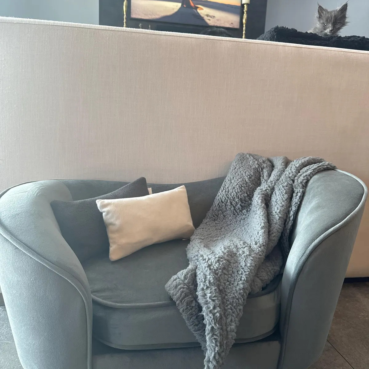 Riposo - Cat Lounger | Etsy (US)