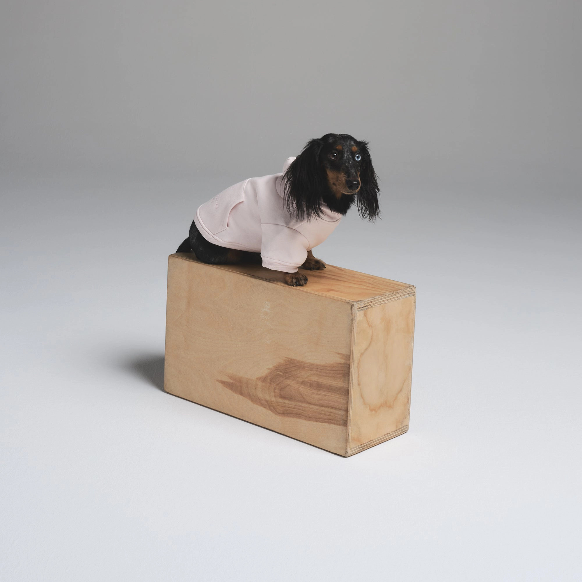 PET HOODIE | SKIMS (US)