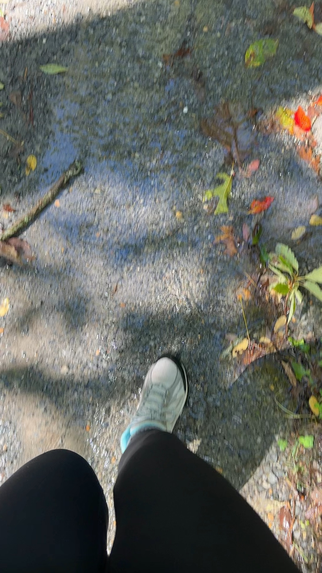 Kept my feet so warm and dry on the trails and through so many puddles from the heavy rain the day before.  
*Linking the updated version
.
#hiking #boot

#LTKFitness #LTKFindsUnder100 #LTKShoeCrush