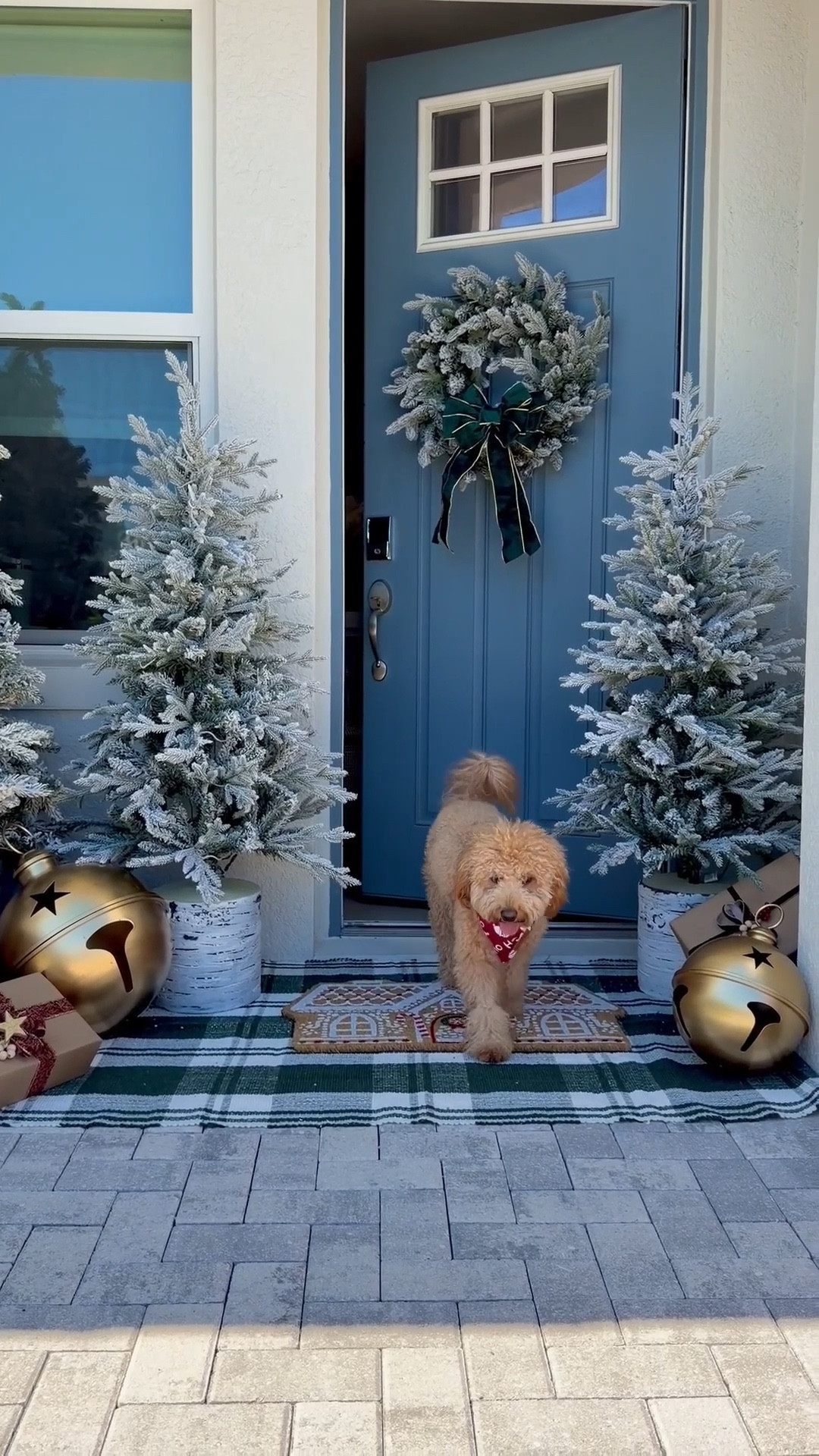 Holiday Patio Decor

We decorated the front porch with flocked Christmas trees, oversized gold jingle bells, a flocked wreath, green plaid outdoor rug, + gingerbread house doormat.

Christmas tree, Christmas decor, Christmas patio, Christmas porch, Christmas doormat, holiday porch decor, front door wreath, checkered rug 

#LTKSaleAlert #LTKHome #LTKHoliday