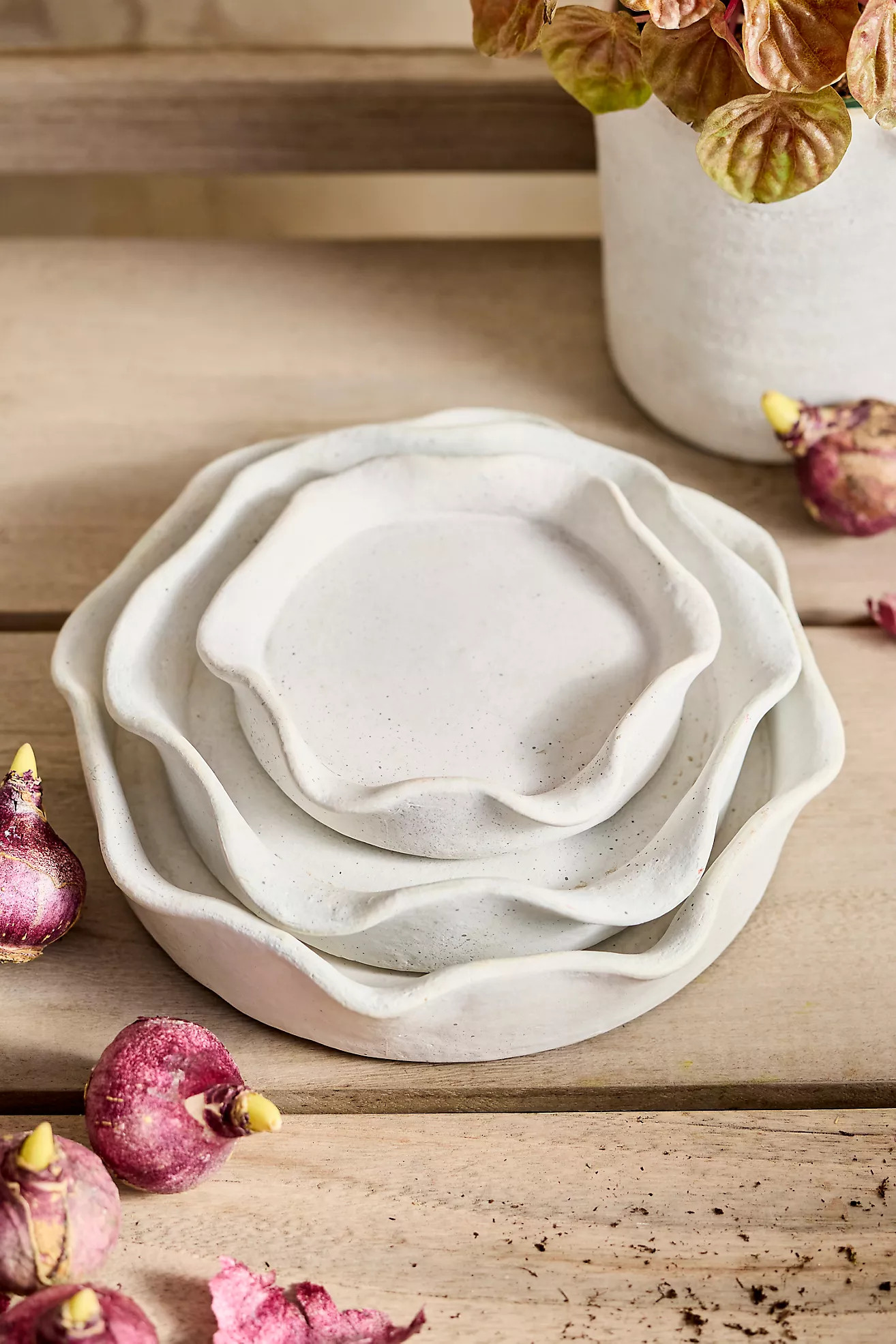 Terracotta Pie Crust Rim Saucer, White | Terrain