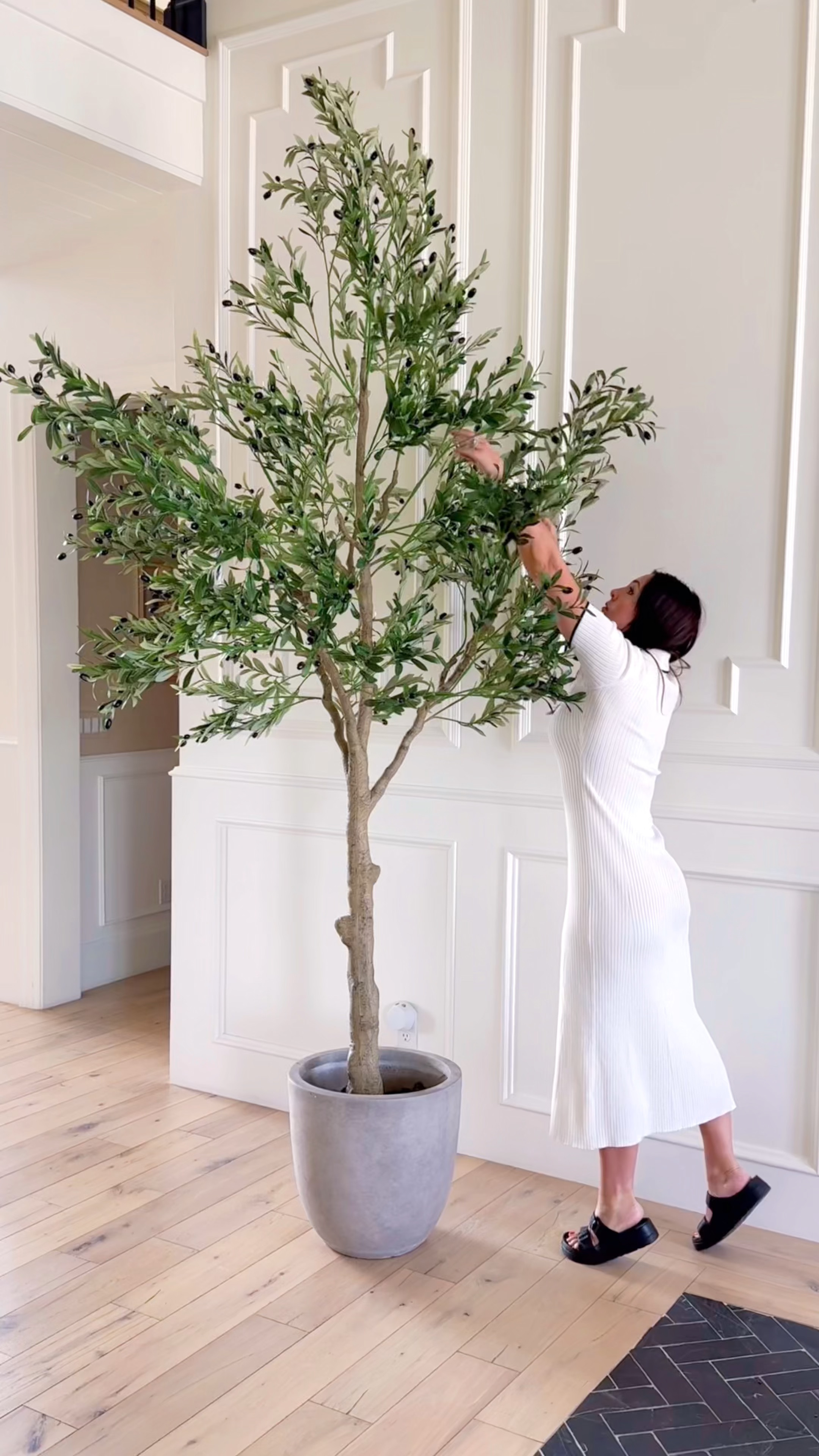 This realistic looking faux olive tree is gorgeous. And it’s on sale for #primeday!Comes in 6ft, 7ft, and 10 ft options. I put it in this beautiful concrete planter pot and it’s just stunning. 

#LTKSaleAlert #LTKxPrimeDay #LTKHome