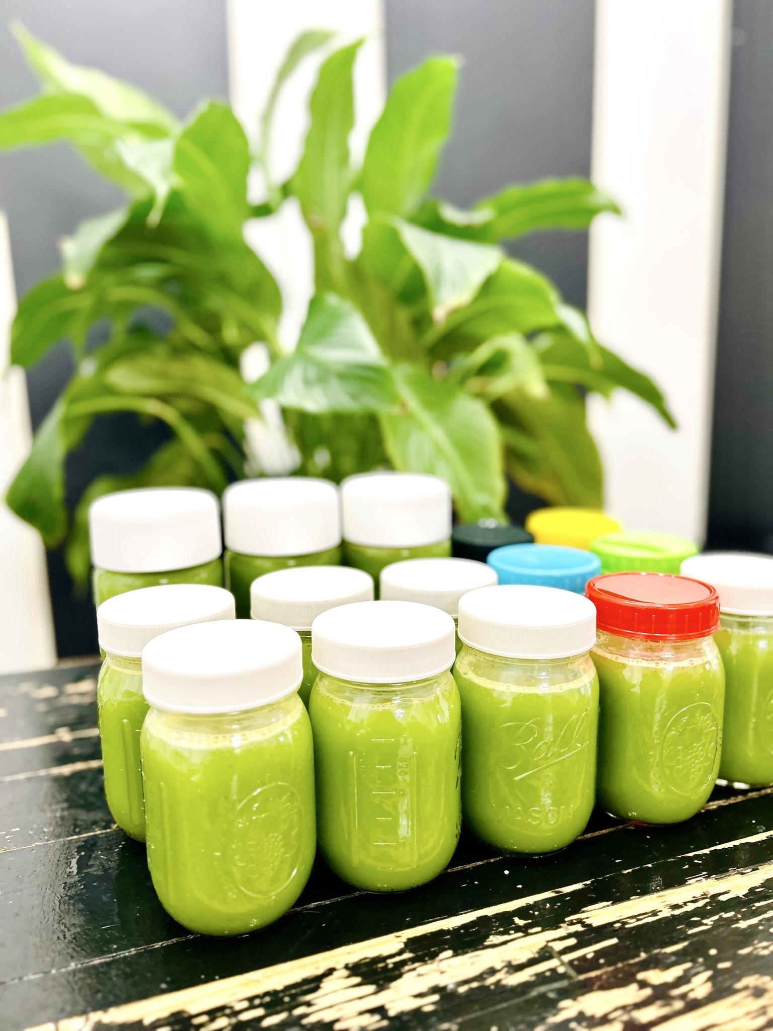 A juicer like this makes healthy living feel SIMPLE instead of overwhelming 🍊✨
Perfect for batch juicing, daily juices, and quick wellness shots when life is busy but your goals still matter.
I linked the exact juicer I use on LTK because it truly makes consistency easier.

#juicerlife #juicingmadeeasy #batchjuicing #freshjuiceathome #healthyhabits #wellnessroutine #kitchenupgrade #LTKhome #LTKfinds #LTKsale #shoppingfavorites #onlineshopping #healthylifestyle #wellnessgifts #ShoppingWithPriiincesss #Atlantamom #Atlantabloggers #Atlantablogger #AtlantaCreator #Atlantacontentcreators #Atlantacontentcreator


#LTKfitnessgoals #LTKGiftGuide #LTKHoliday