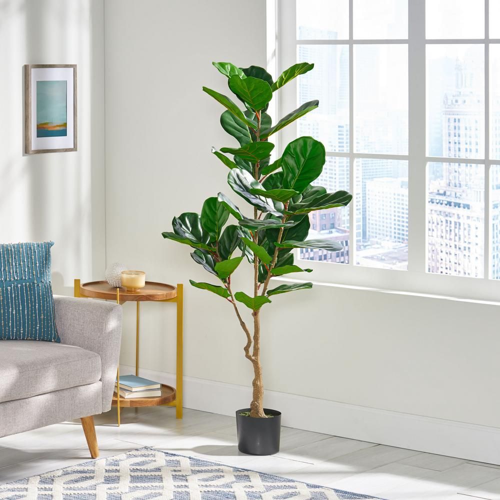 Noble House Sherard 5 ft. Green x 2 ft. Green Artificial Fiddle-Leaf Fig Tree-83996 - The Home De... | The Home Depot