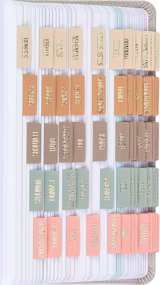 DiverseBee Laminated Bible Tabs (Gold Embossed Lettering), Bible Journaling Supplies, Bible Book ... | Amazon (US)