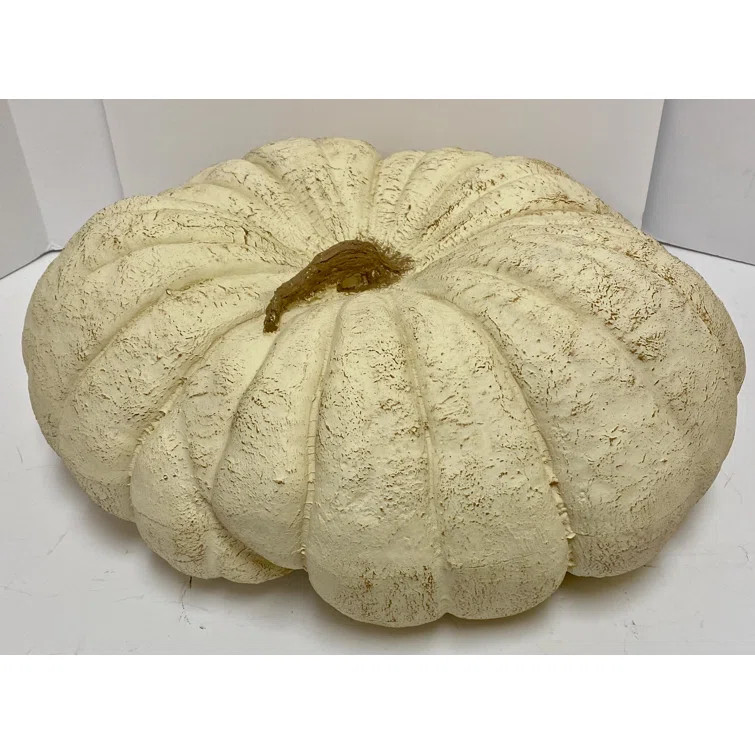 Jumbo Pumpkin | Wayfair North America