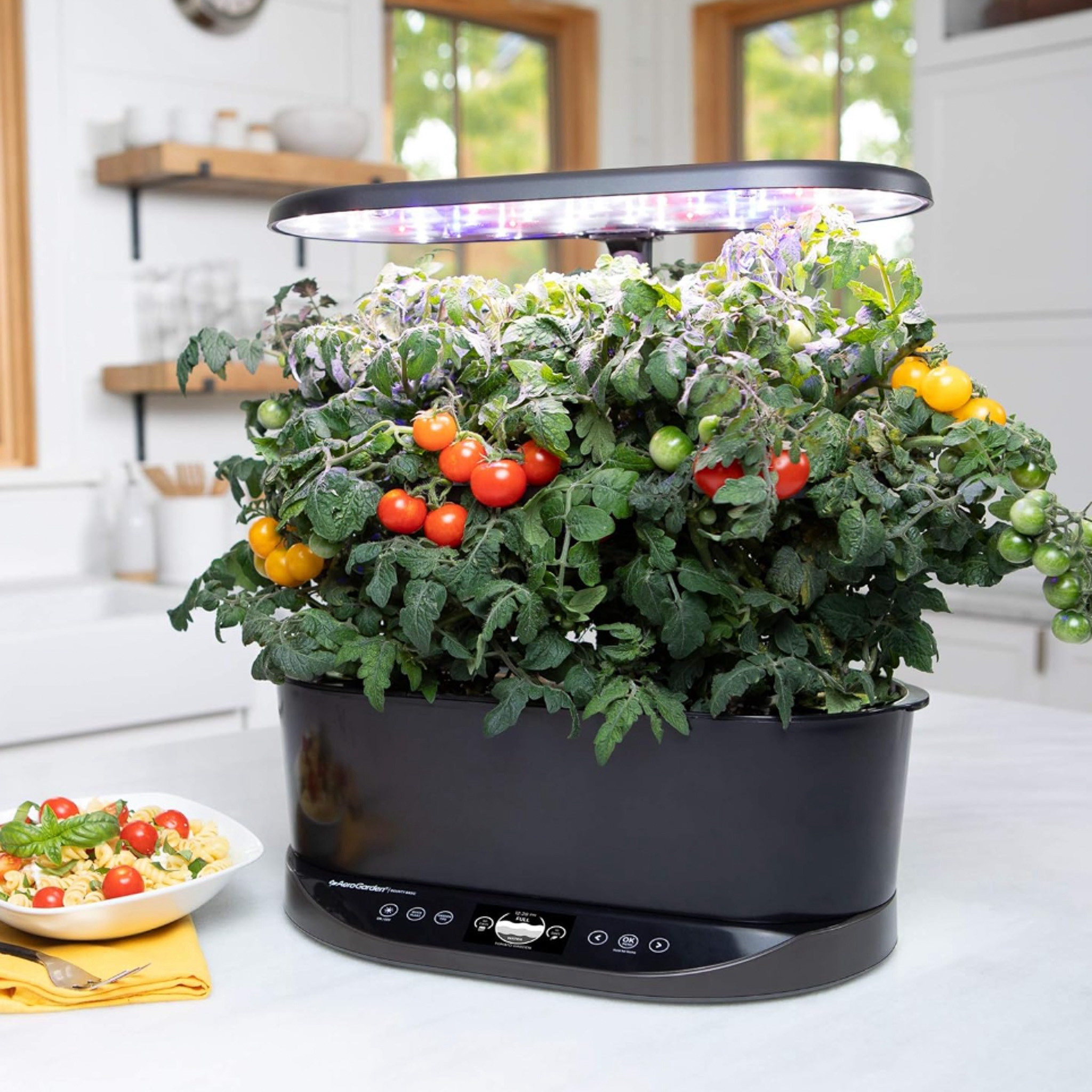 Calling all cocktail enthusiasts! The AeroGarden Bounty Basic makes it easy to grow fresh herbs right at home—basil, mint, and more, always within reach for your next drink.

#LTKSeasonal #LTKGiftGuide #LTKHoliday