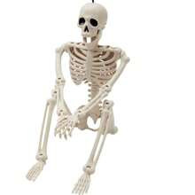 JOYIN Halloween Skeleton PoseNStay Full Body Plastic Bone with Posable Joints for Halloween Party Decoration Photo Prop Indoor and Outdoor Use | SHEIN