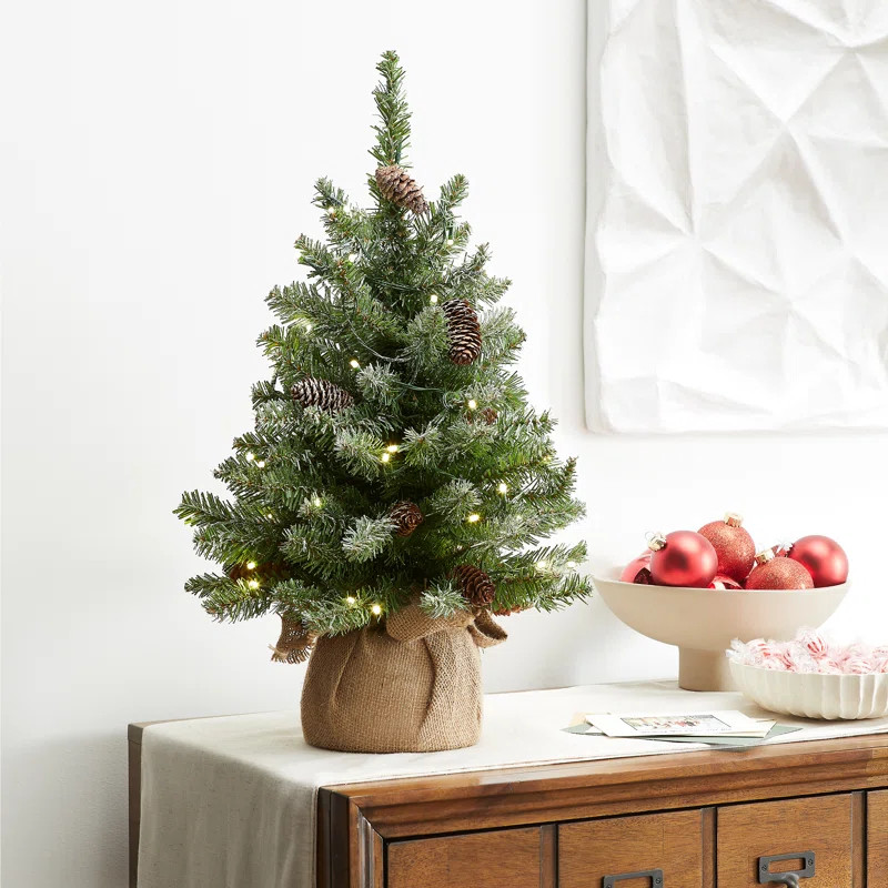 Snowy Concolor Fir Tree with LED Lights | Wayfair North America