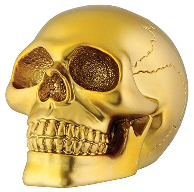 Gold Skull Head Collectible Skeleton Decoration Figurine Model | Amazon (US)