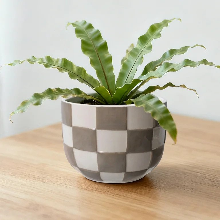 Mainstays Lennon 6" x 6" x 4.5" Round Birch Gray Checkered Ceramic Planter | Walmart (US)