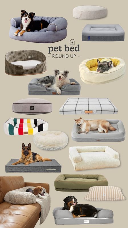 While looking for a pet bed for Kitty, I came across so many good ones, it was hard to choose! #ltkpet

#LTKFind #LTKhome