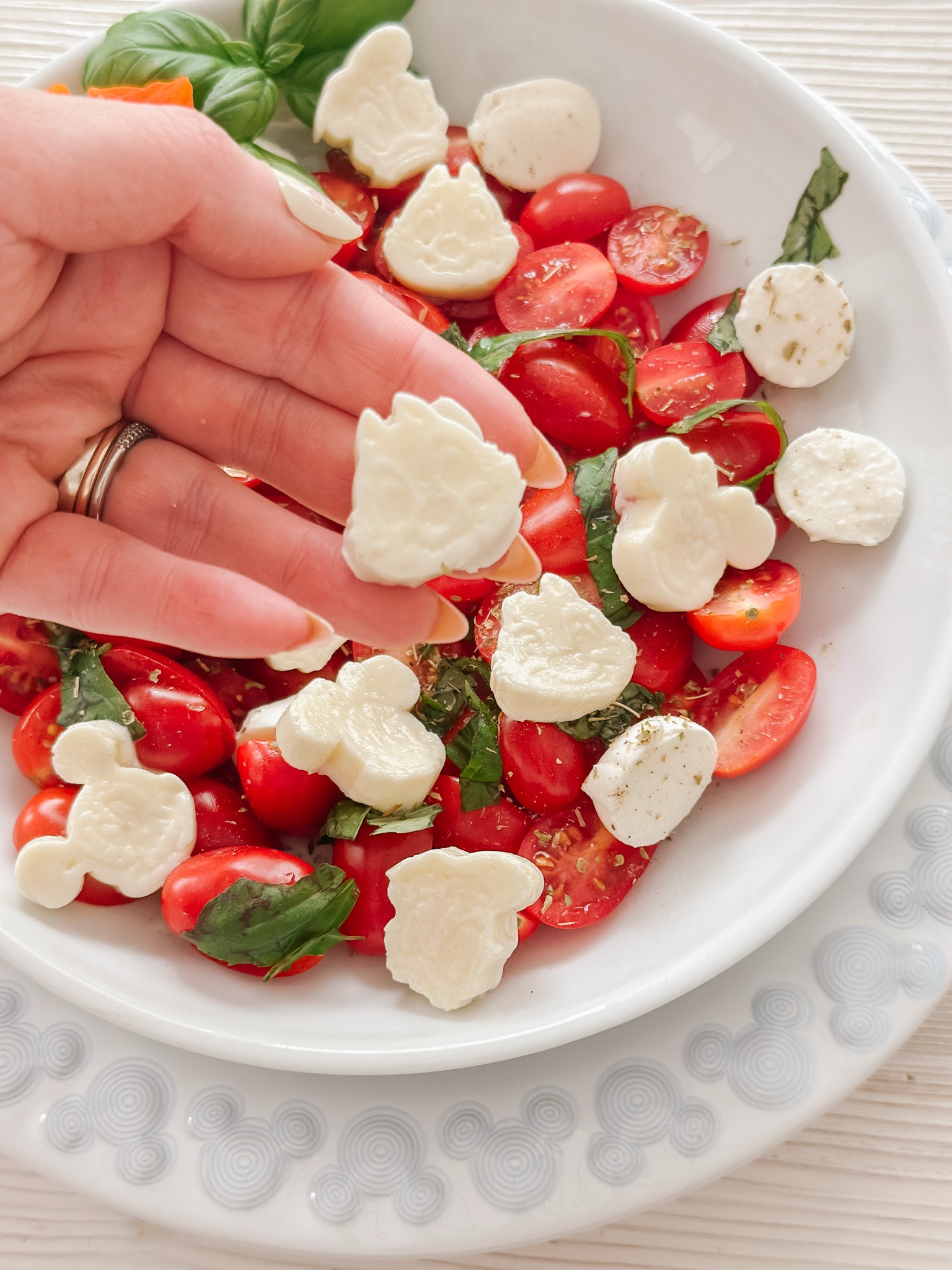 Silicone mold to make Disney inspired bocconcini  salad 

#LTKcasa #LTKcanada #LTKsummer
