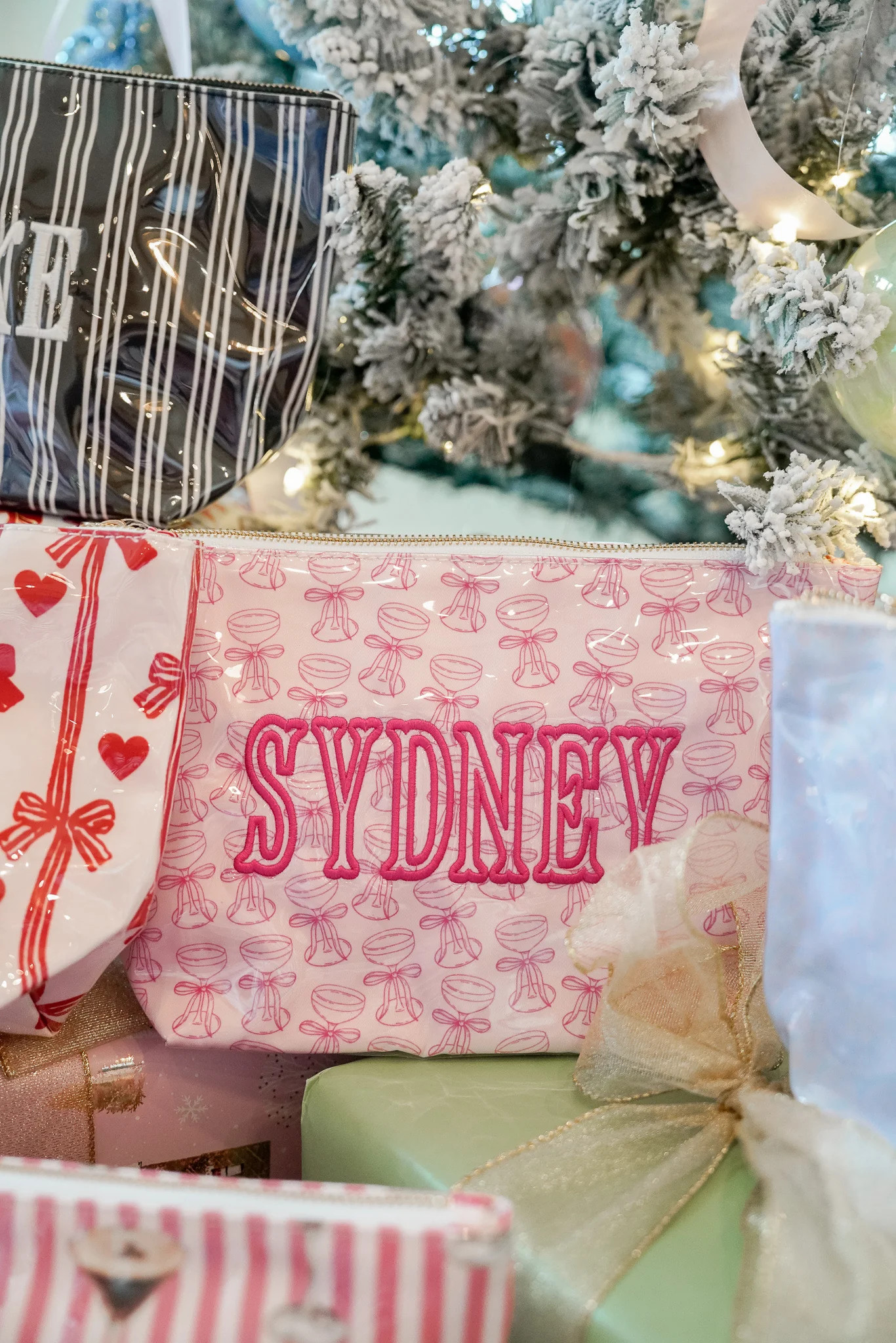 Clear Coat Bag For Embroidery | KenzKustomz