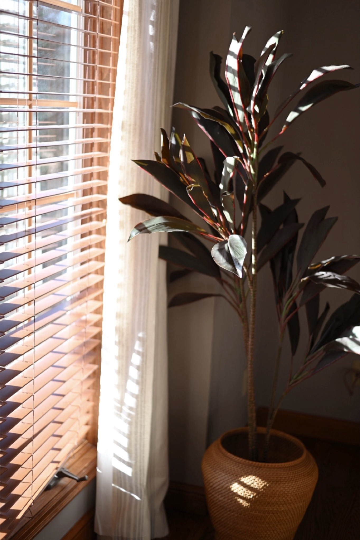 Classic home inspiration: cozy corners. I’ve linked a faux rubber tree if you don’t have time to care for a real one!

#classichome
#cozyhome

#LTKFamily #LTKHome #LTKFindsUnder100