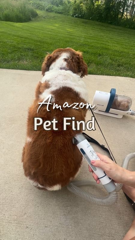✨$20 off coupon at the time of this post!!! Ok, what a game changer for pet hair around the house!! AND its going to save me hundreds of dollars every time I would normally have to go get my dogs hair cut at the groomers! I was BEYOND impressed with how well this pet grooming vac worked!!!  I didn’t even show half of the attachments it actually came with!! It comes with 7 grooming tools!! And, if you don’t want to attach the trimmer to the vac, it can even be used alone and its CORDLESS!!! Take it anywhere on the go with you! It comes with a built in nail grinder too! This literally is the BEST pet grooming vac I have ever seen or tried! I am obsessed!!! 