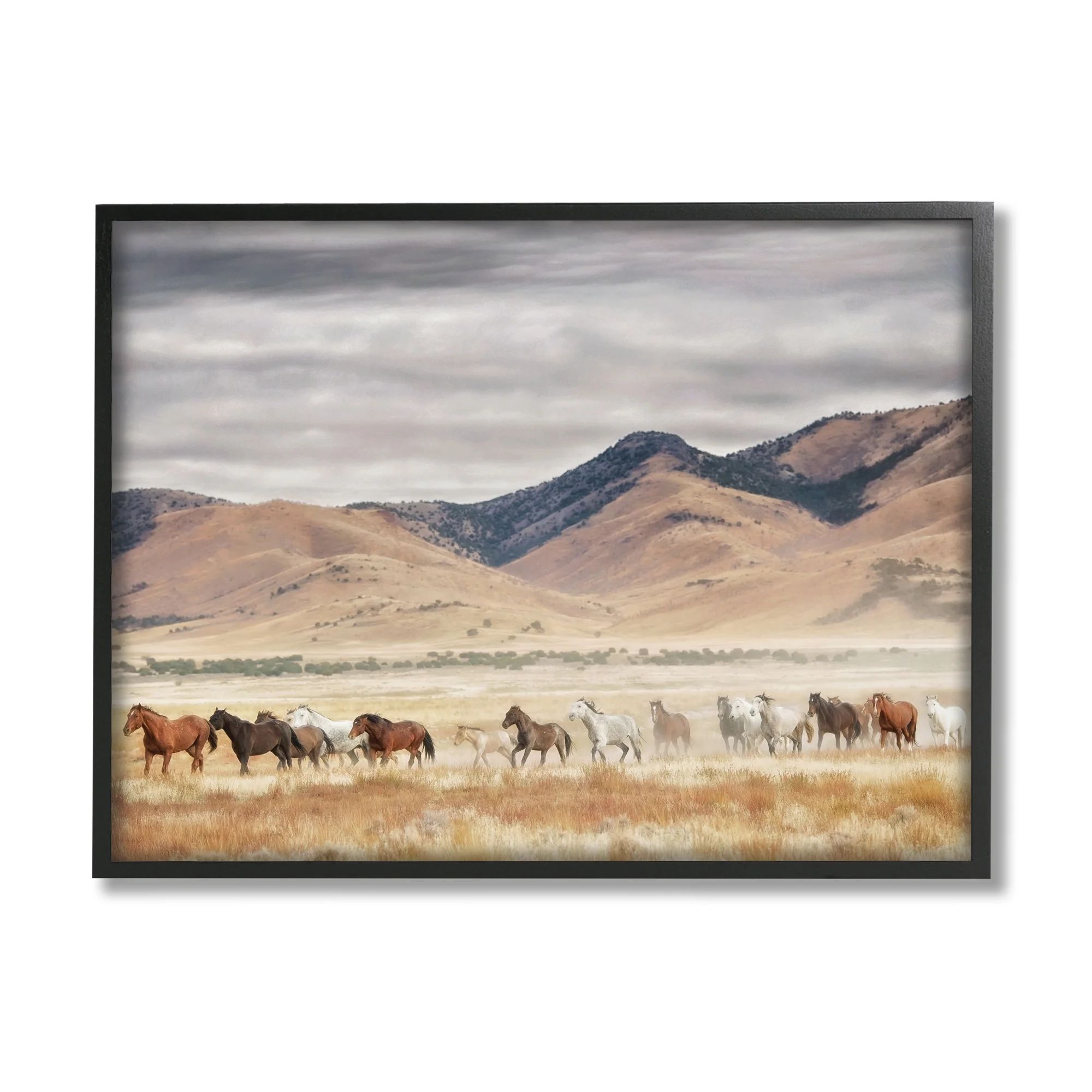 Stupell Industries Wild Horses Roaming Across Western Landscape Animals & Insects Photography Bla... | Walmart (US)