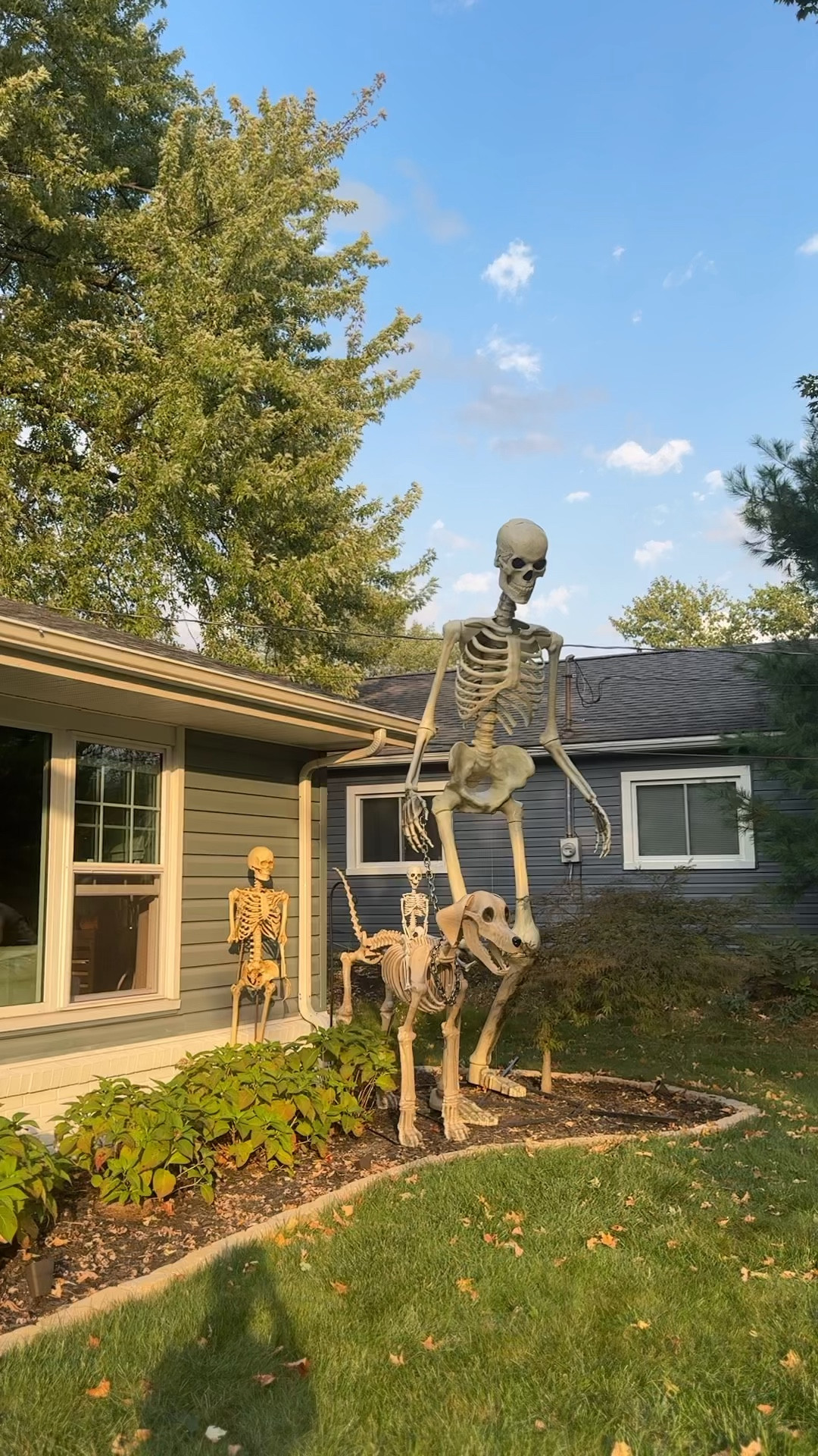 Our skelly family is officially up! Linking to all of ours + the three light-up ghosts by our porch! Oliver loves the ghosts so much! They’re so cute and affordable 👻

12 foot skeleton, dog skeleton, skeleton family, ghosts, light-up ghost, Halloween display 

#LTKHome #LTKFindsUnder100 #LTKHalloween