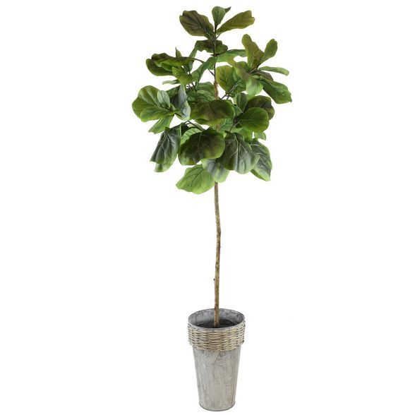 68" x 18" Artificial Fig in Galvanized Pot - LCG Florals | Target