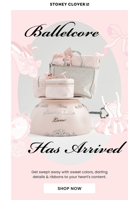Cutest balletcore bags 😭🎀🩰 a coquette girls dream!! 

#LTKGiftGuide