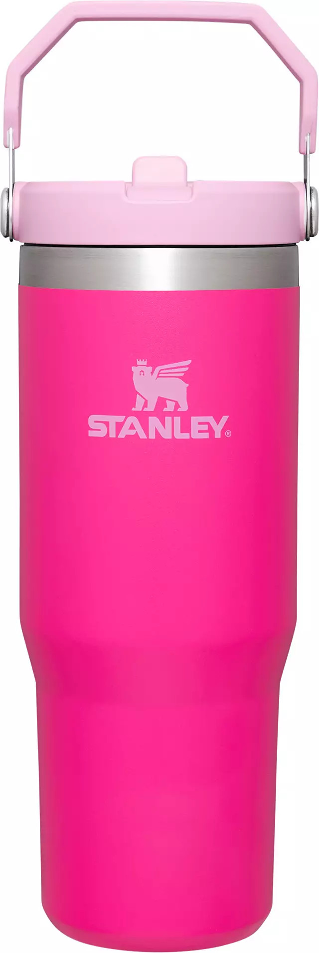 Stanley 30 Oz. IceFlow Tumbler with Flip Straw | Dick's Sporting Goods