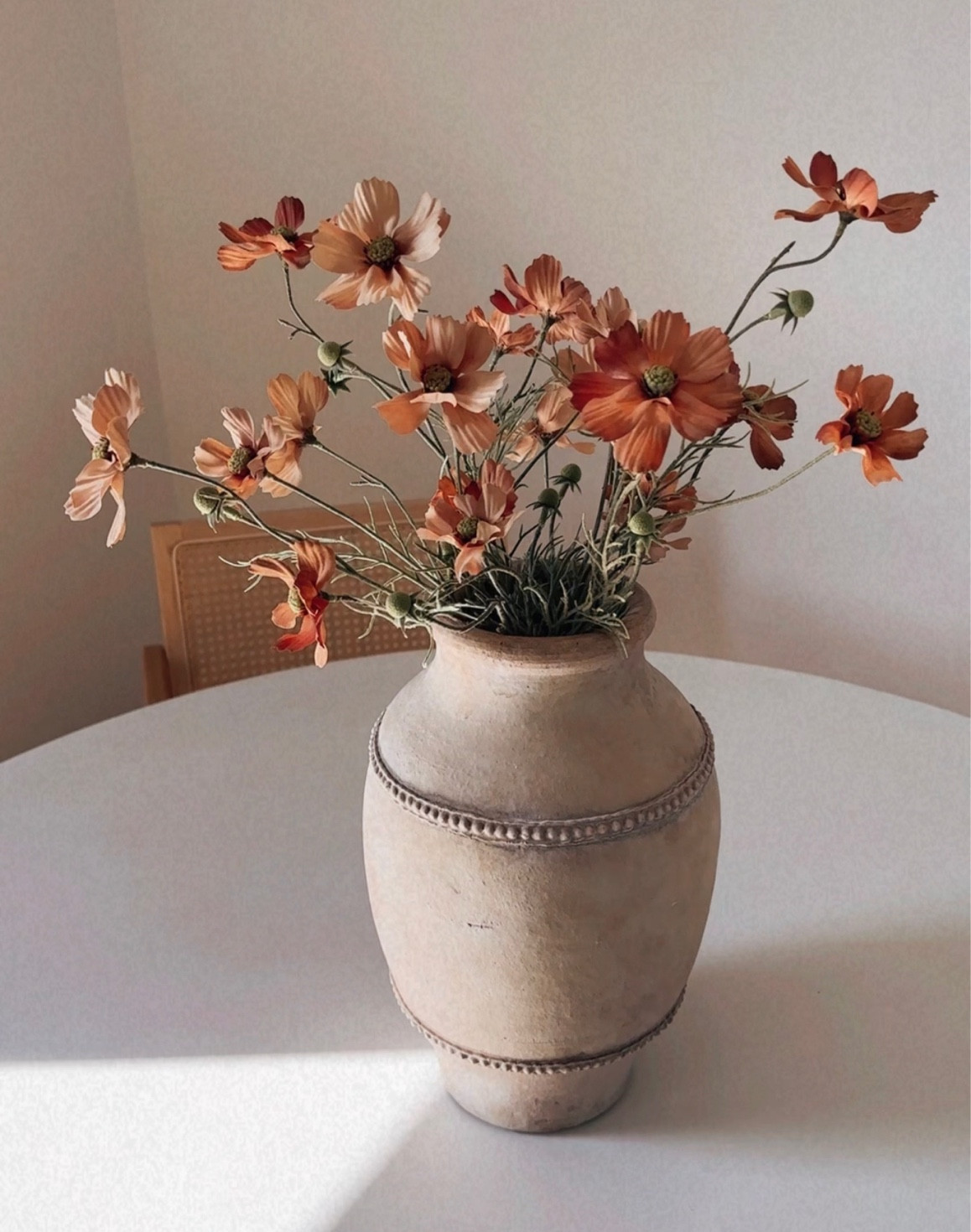 Terracotta vase and cosmos flowers 

#LTKFind #LTKstyletip #LTKhome