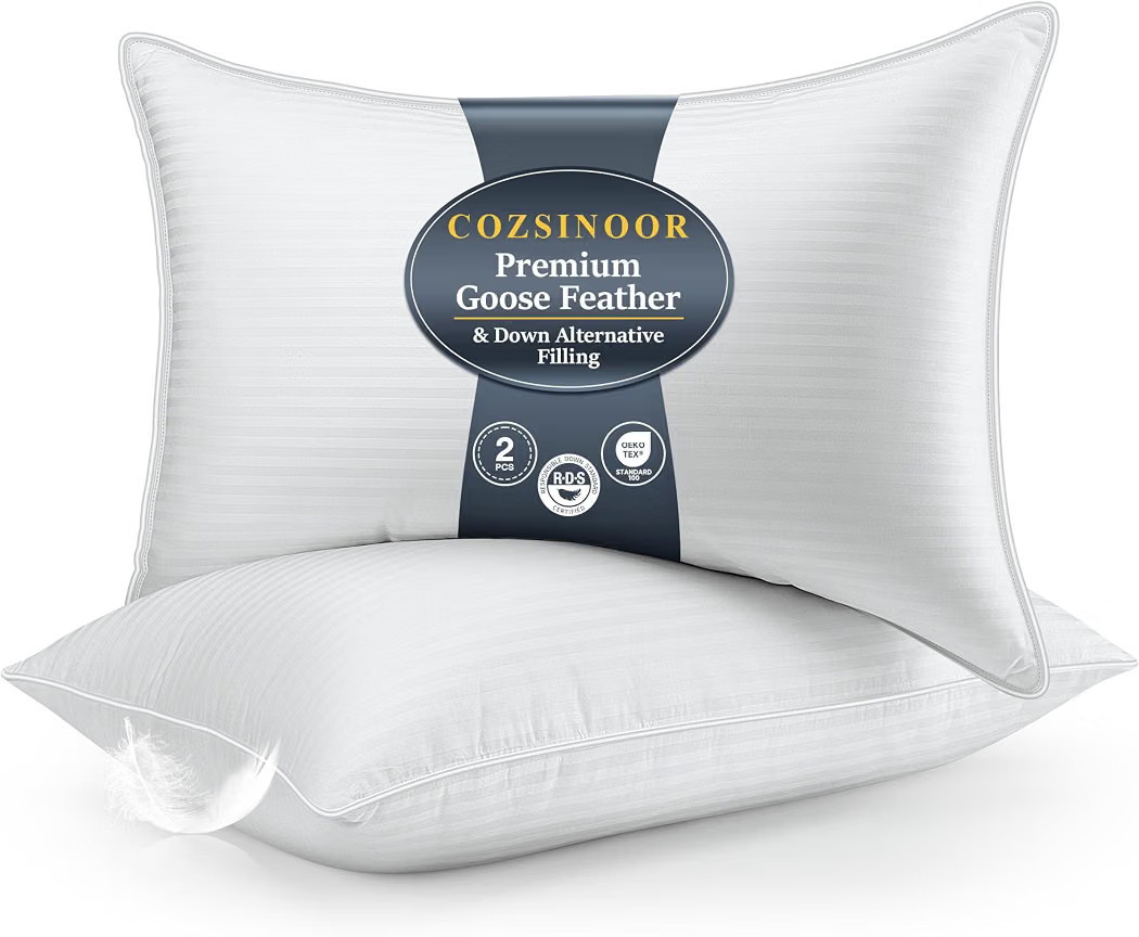 COZSINOOR Goose Down Feather Pillows Queen Size Set of 2 - Hotel Down Bed Pillow for Sleeping, So... | Amazon (US)