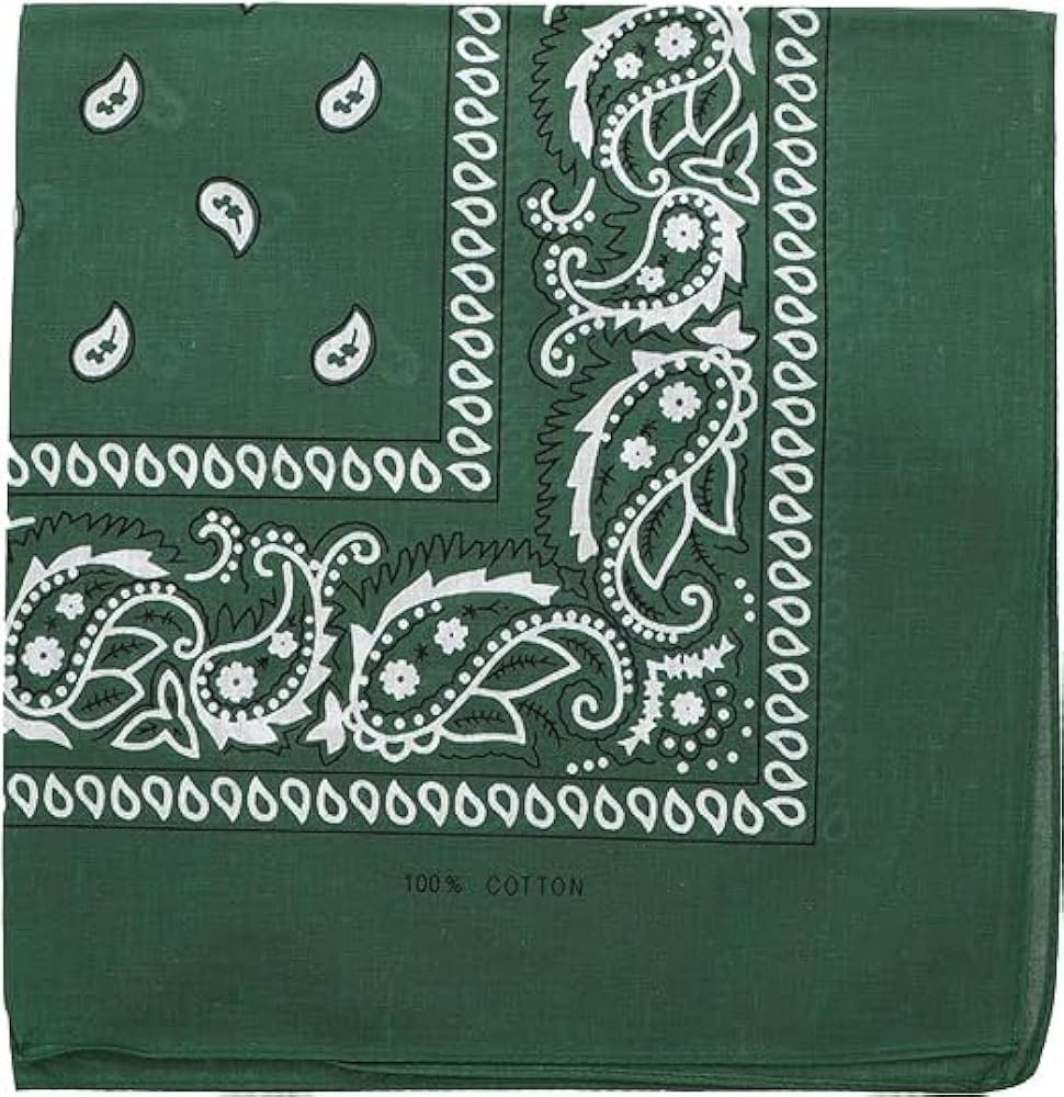 Motique Accessories 22 Inch Cotton Paisley Bandana | Amazon (US)