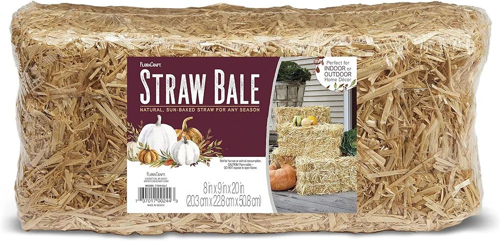 FloraCraft Decorative Straw Bale 8 Inch x 9 Inch x 20 Inch Natural | Amazon (US)
