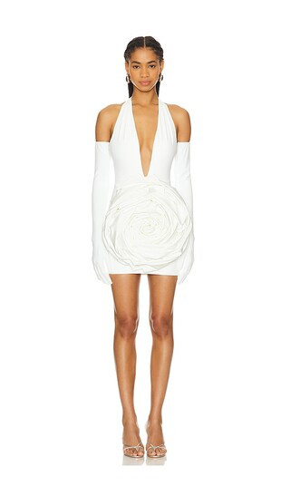 Camellia Blanc Rose Mini Dress in Cream | Revolve Clothing (Global)