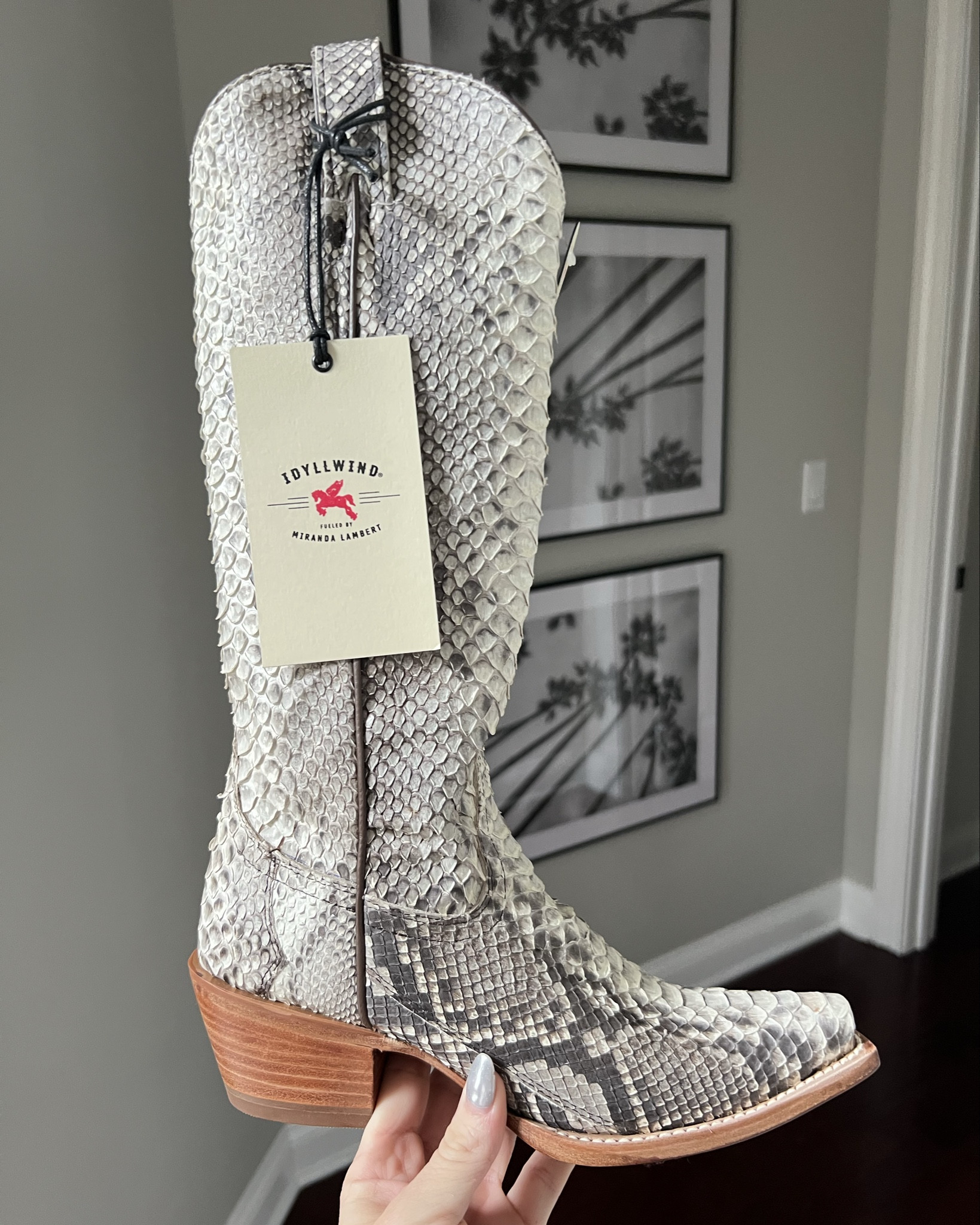 Finally got my hands on these Idyllwind python boots & I’m so in love. The detail of these are insane  

Snake boot | Western boots | country concert 