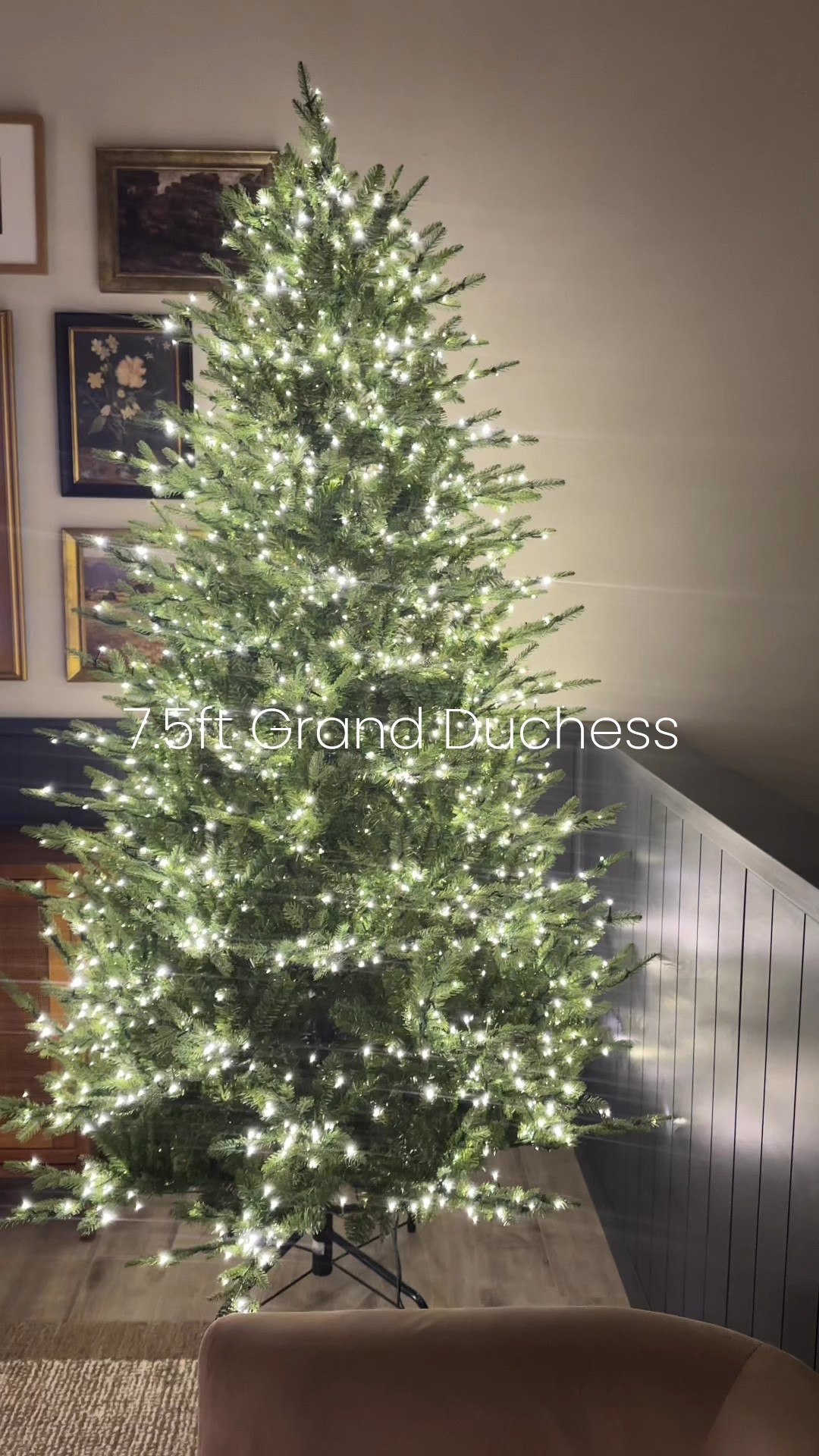 Finally caved and got the viral grand duchess twinkling  balsam for Christmas tree from Home Depot and I am in LOVE!!!! Still need to fluff the branches but she’s a beaut right out of the box

The 7.5ft full is featured here 

#LTKSeasonal #LTKHoliday #LTKHome