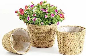 Plant Pots for Indoor Plants, Seagrass Planters Basket Flower Pots Cover, Plant Containers,9.8 in... | Amazon (US)