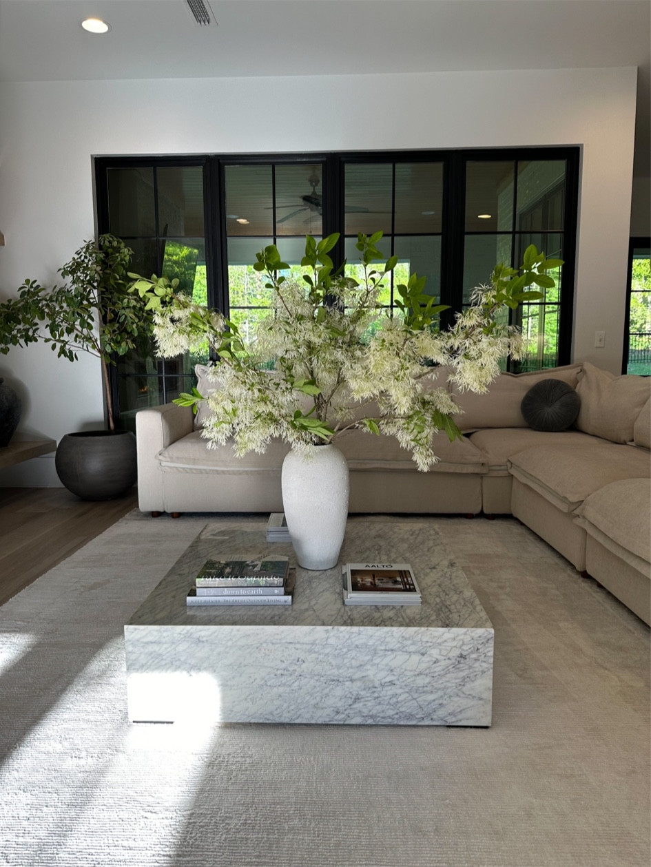 West Elm Rug Coffee Table Lulu & Georgia Vases Arhaus Home Decor Pillows 

#LTKHome