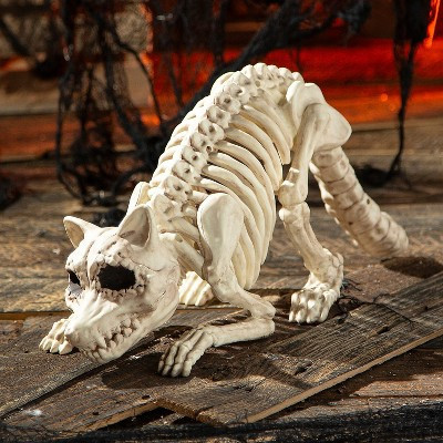 Seasons 21 in Racoon Skeleton Plastic Halloween Decoration - Off-White | Target