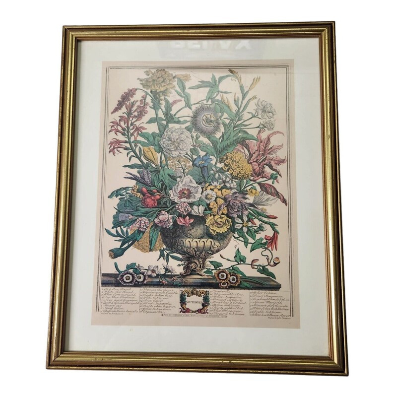 Vintage Robert Furber 12 Months of Flowers Septemer Botanical Print Framed 21x17 Large Gold Frame... | Etsy (US)