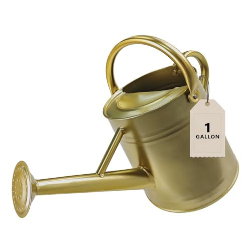 Watering Can for Outdoor&Indoor Plants，1 Gallon Metal Watering Can with with Removable Spout，Galvanized Steel Garden Flower Water Can Plant Watering Pot with 2 Handles，Gold | Amazon (US)
