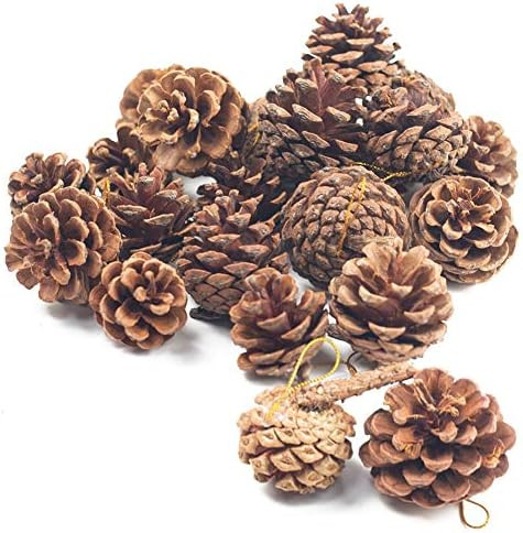 JOHOUSE Natural Pine Cones, Christmas Rustic Pinecones Fall Garland Halloween Thanksgiving Decora... | Amazon (US)