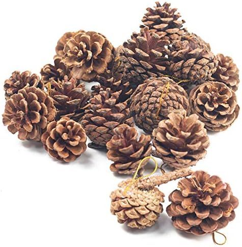 JOHOUSE Natural Pine Cones, Christmas Rustic Pinecones Fall Garland Halloween Thanksgiving Decora... | Amazon (US)