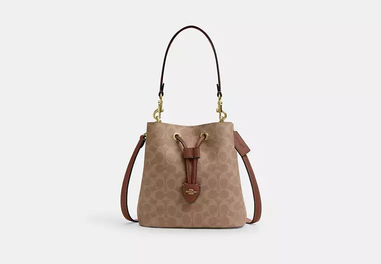 Rowan Bucket Bag In Signature Canvas | Coach (UK)