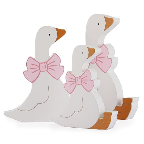 HH Family Silly Goose Birthday Decorations Double-Sided Rustic Wooden Goose Decor Figurines Set of 3 (Goose Pink) | Amazon (US)