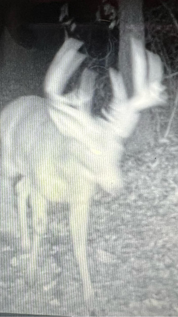 I guess he goes to the top of Goals for 2026

#yourfavoriteinfluencerinthewild #missourifarms #deerseason

#LTKActive #LTKOver40 #LTKdayinmylife