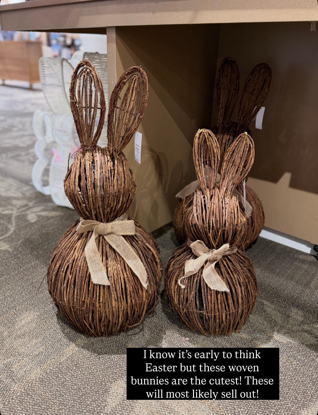 These woven bunnies are so adorable!

#LTKHome #LTKSeasonal